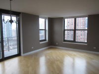  1101 S State St # H1500, Chicago, Illinois  5008878