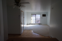  160 S Waters Edge Dr Apt 202, Glendale Heights, Illinois  5313797