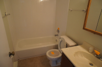  160 S Waters Edge Dr Apt 202, Glendale Heights, Illinois  5313801