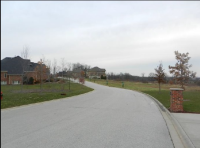  20483 Abbey Dr, Frankfort, IL 8046470