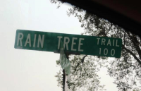  202 Raintree Trail, Lafayette, LA 6279931