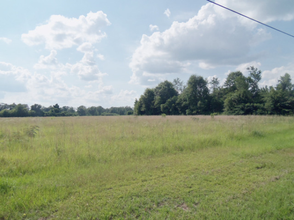 9.8 ac Lot - Road 269, Picayune, MS photo
