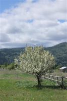  19155 Moonlight Dr, Frenchtown, Montana  5303593