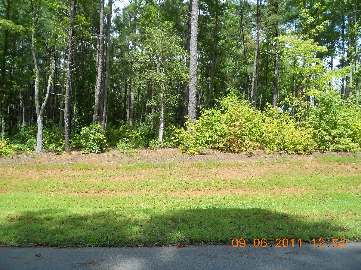  7513  HENSWORTH CT LOT 209, WAKE FOREST, NC photo