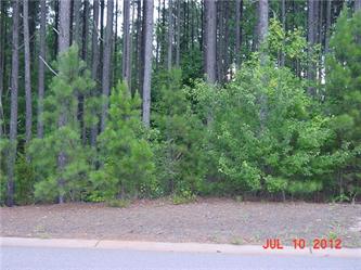  2211 Northview Habor Dr Lot 44, Sherills Ford, NC photo