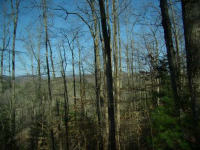  0 Quiet Mountain Trail Trail, Other-North Carolina, NC 7618541