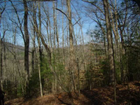  0 Quiet Mountain Trail Trail, Other-North Carolina, NC 7618540
