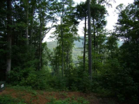  0 Quiet Mountain Trail Trail, Other-North Carolina, NC 7618544