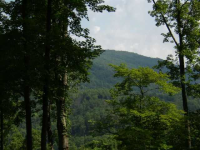  0 Quiet Mountain Trail Trail, Other-North Carolina, NC 7618545