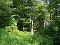  0 Quiet Mountain Trail Trail, Other-North Carolina, NC 7618546
