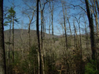  0 Quiet Mountain Trail Trail, Other-North Carolina, NC 7618547