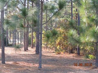  Lot 1629 Section 16 Forest Cre, Southern Pines, NC photo