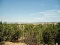  64 Yucca Ln, Placitas, New Mexico  5769981