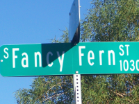  10324 Fancy Fern Street, Las Vegas, NV 2566544