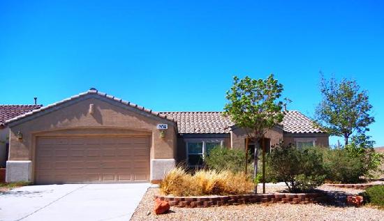  204 Sandhill Crane Avenue, Henderson, NV photo