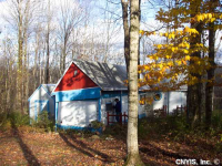 50 Town Line Rd, Orwell, NY 13426
