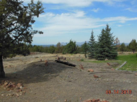  10951 Sw Riggs Rd, Powell Butte, Oregon 6211023