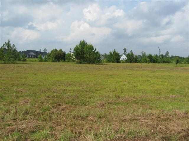  LOT 22 CAT TAIL BAY, CONWAY, SC photo