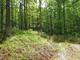  Lot19phase 1cliffs At Keowee Spring, Six Mile, SC photo