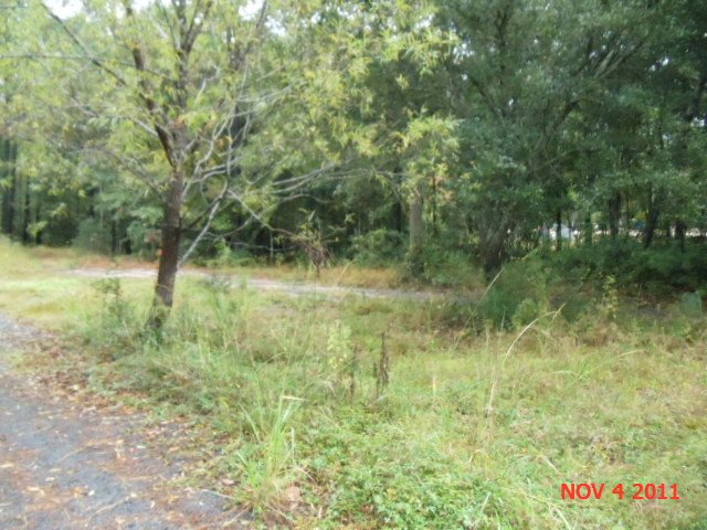  LOT 2 COVENANT PRESE, AWENDAW, SC photo
