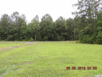  6958 Pauley Swamp Rd, Conway, South Carolina  5362447