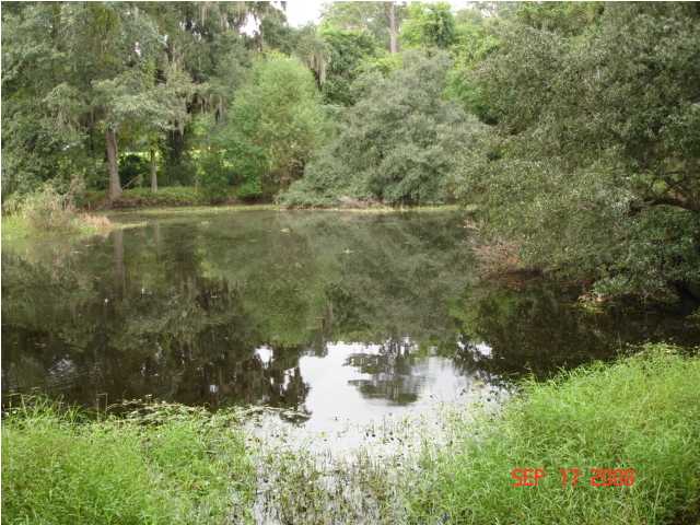  2 MATEEBA GARDENS RD, Summerville, SC photo