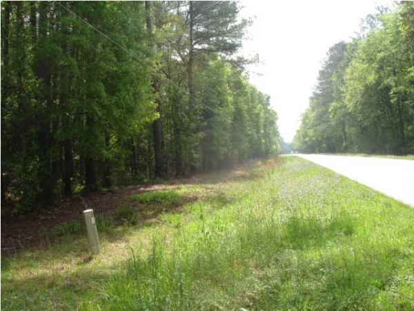  2 ASHLEY RIVER RD, Summerville, SC photo