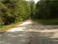  2 ASHLEY RIVER RD, Summerville, SC 7434278