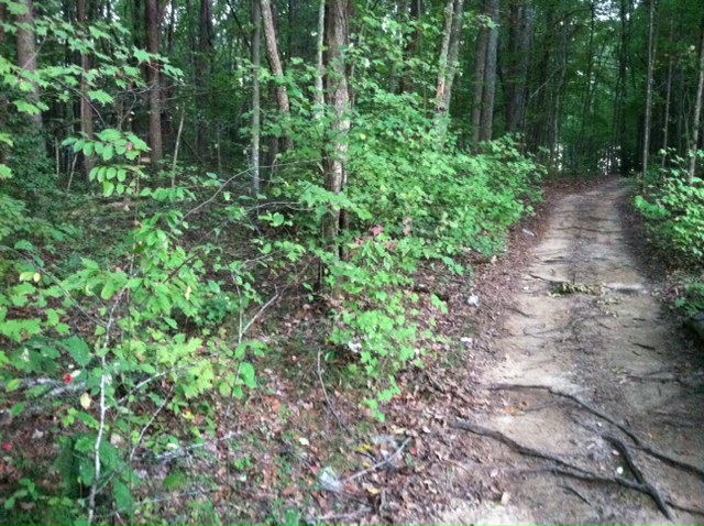  LOT 5-9 WINDING STAIRS, SOUTH PITTSBURG, TN photo
