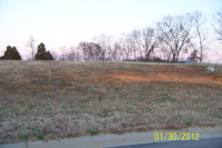 LOT 40 THUNDER POINT, VONORE, TN 3781709
