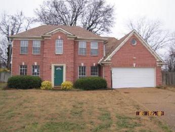  7106 Frosty Meadow Cv, Memphis, TN photo