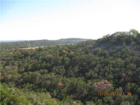  208 Sunrise Ridge Cv, Austin, Texas  4731686