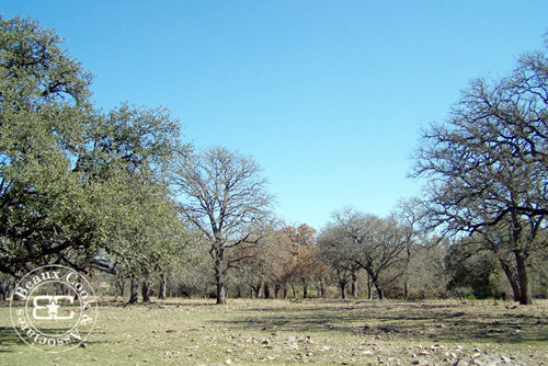  1 of the largest ranches in the Hunt area., Hunt, TX photo