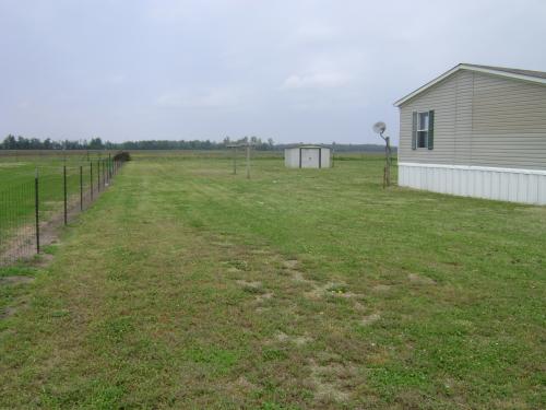  2185 WYNNBURG BLUEBANK, Tiptonville, TN photo