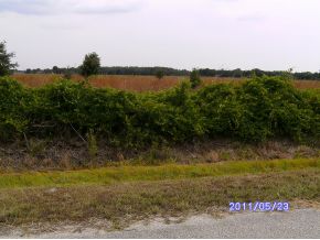  3967 NW 23 AVE, OKEECHOBEE, FL photo